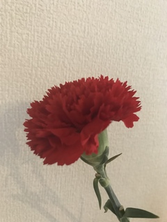 546A275F-0B4E-41A1-870C-2740F1EA5EAA.jpeg