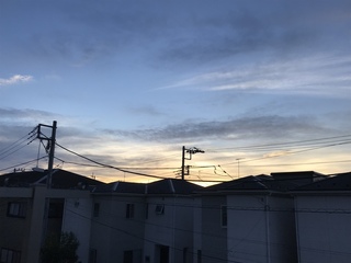 89D9C8C1-388D-439A-9C6B-250997D99A8C.jpeg