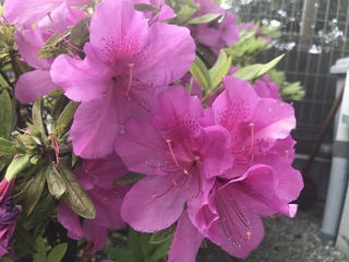 BD90BCDD-AECF-4771-BD05-854366794BD7.jpeg