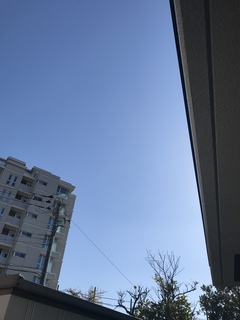 EC4F3DA4-B322-4BC7-8529-DFB62AAF7D87.jpeg