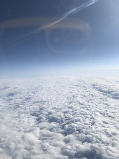 166BCAD8-5F05-49FB-B70C-38E138EE6BD9.jpeg