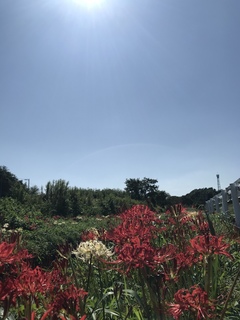 98761B1A-8E60-4A3B-8E5A-83EB4F435327.jpeg