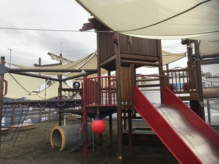 D158E193-9A20-4AB2-8CCE-88630403809E.jpeg