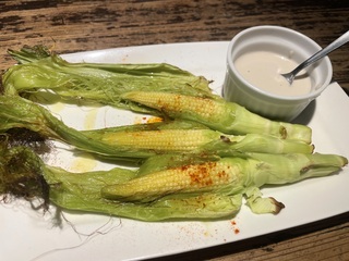 IMG_0091.jpeg