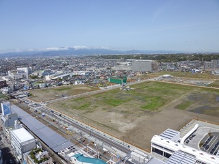 IMG_9917.jpeg